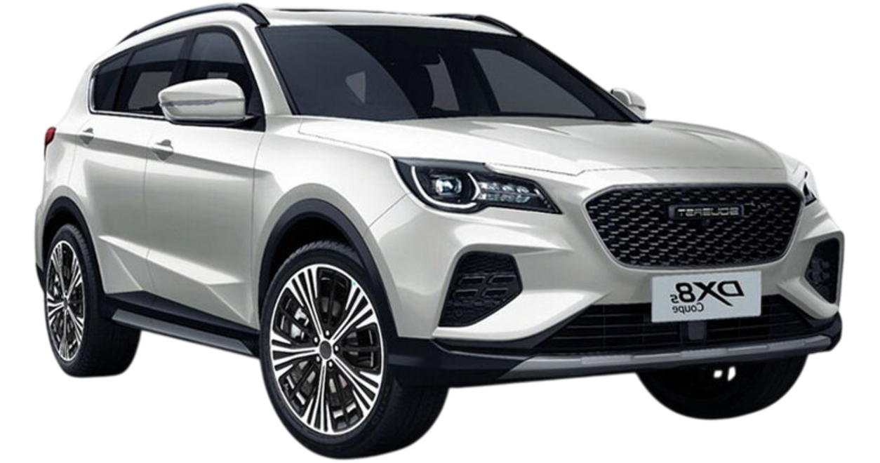 SOUEAST Soueast DX8S